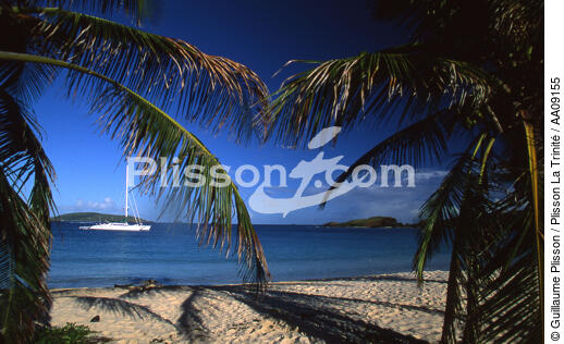 Catamaran aux mouillage aux Antilles. - © Guillaume Plisson / Plisson La Trinité / AA09155 - Nos reportages photos - Multicoque de plaisance/croisière