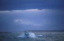 L'Enez Eussa en partance pour les îles. © Guillaume Plisson / Plisson La Trinité / AA09157 - Photo Galleries - Mail boat