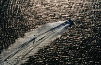 Ski nautique. © Philip Plisson / Plisson La Trinité / AA09161 - Nos reportages photos - Auteur