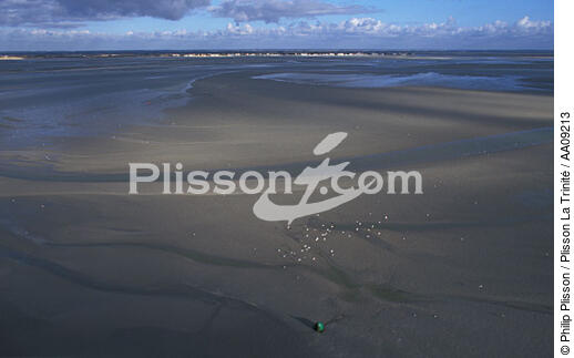 La baie de Somme. - © Philip Plisson / Plisson La Trinité / AA09213 - Nos reportages photos - Picardie
