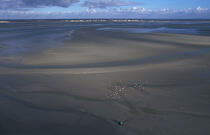 La baie de Somme. © Philip Plisson / Plisson La Trinité / AA09213 - Nos reportages photos - Auteur