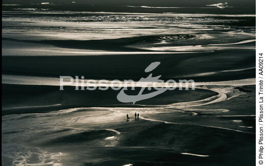 La baie de Somme. - © Philip Plisson / Plisson La Trinité / AA09214 - Nos reportages photos - Somme [la]