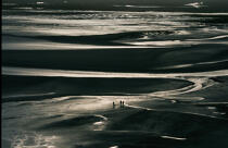 La baie de Somme. © Philip Plisson / Plisson La Trinité / AA09214 - Nos reportages photos - Somme [la]