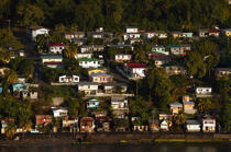 L'île de la Dominique. © Philip Plisson / Plisson La Trinité / AA09274 - Nos reportages photos - Antilles [Les]