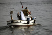 Bateau de pêche dans port d'Istanbul. © Philip Plisson / Plisson La Trinité / AA09396 - Nos reportages photos - Ville [Turquie]