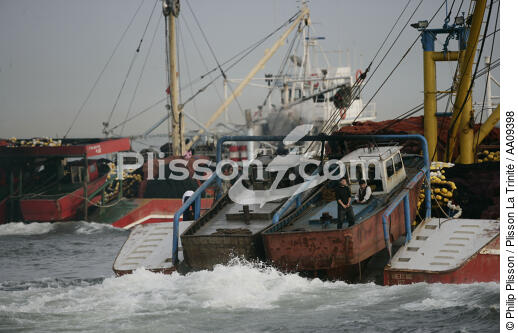 Bateau de pêche dans le Bosphore. - © Philip Plisson / Plisson La Trinité / AA09398 - Nos reportages photos - Site [Turquie]