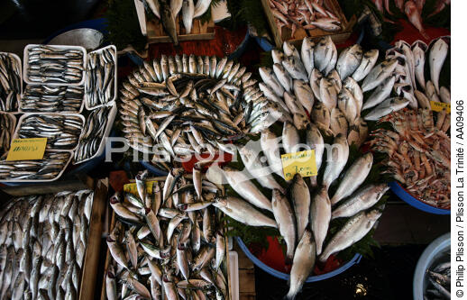 Marché aux poissons à Istanbul. - © Philip Plisson / Plisson La Trinité / AA09406 - Nos reportages photos - Marché