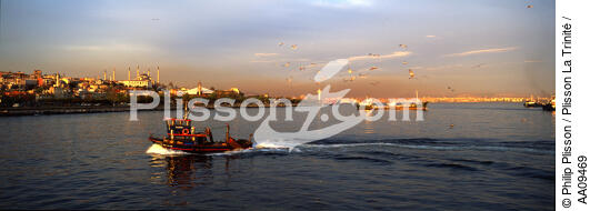 Pêche sur le Bosphore. - © Philip Plisson / Plisson La Trinité / AA09469 - Nos reportages photos - Ville [Turquie]