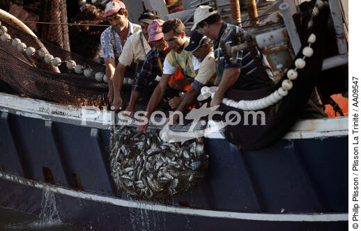 Fishing in the Gulf of Patra. - © Philip Plisson / Plisson La Trinité / AA09547 - Photo Galleries - Fishing nets