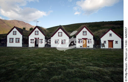 La ferme du musée de Laufas en Islande. - © Philip Plisson / Plisson La Trinité / AA09557 - Nos reportages photos - Plante