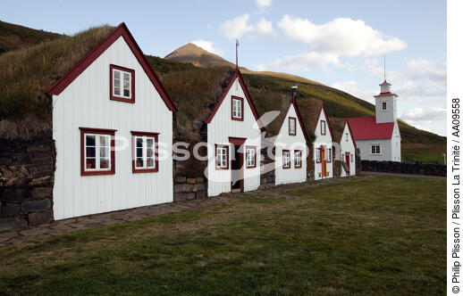 La ferme du musée de Laufas en Islande. - © Philip Plisson / Plisson La Trinité / AA09558 - Nos reportages photos - Plante