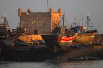 Essaouira. © Philip Plisson / Plisson La Trinité / AA09568 - Nos reportages photos - Pêcheur du monde