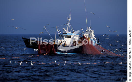 Pêche à la Sardine. - © Philip Plisson / Plisson La Trinité / AA09670 - Nos reportages photos - La pêche à la sardine