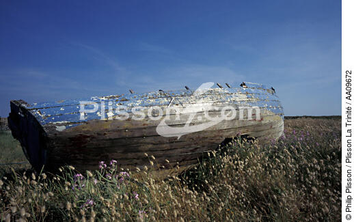 Boat in a field. - © Philip Plisson / Plisson La Trinité / AA09672 - Photo Galleries - Blue sky