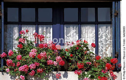 Maison à Houat. - © Philip Plisson / Plisson La Trinité / AA09693 - Photo Galleries - Window
