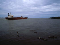 Pirogue sur l'Orénoque. © Philip Plisson / Plisson La Trinité / AA09720 - Nos reportages photos - Porte-conteneurs, la démesure