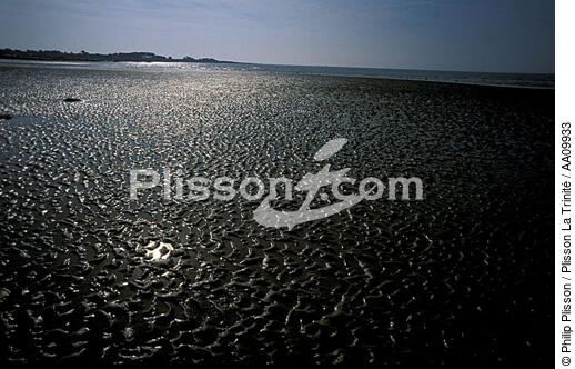 Reflet sur le sable à marée basse. - © Philip Plisson / Plisson La Trinité / AA09933 - Nos reportages photos - Marée basse