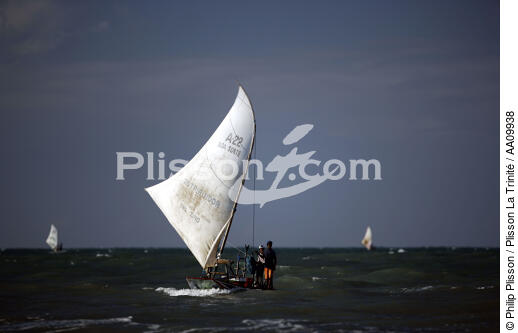 Jangada at sea. - © Philip Plisson / Plisson La Trinité / AA09938 - Photo Galleries - Jangadas from Brazil