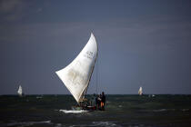 Jangada en mer. © Philip Plisson / Plisson La Trinité / AA09938 - Nos reportages photos - Pêcheur