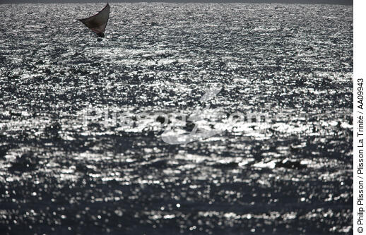Jangada en mer. - © Philip Plisson / Plisson La Trinité / AA09943 - Nos reportages photos - Brésil