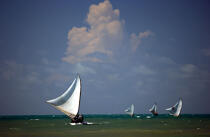 Jangadas en mer. © Philip Plisson / Plisson La Trinité / AA09946 - Nos reportages photos - Etat [Brésil]