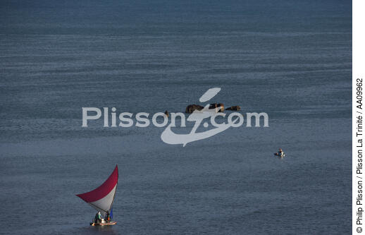 Jangada en mer. - © Philip Plisson / Plisson La Trinité / AA09962 - Nos reportages photos - Jangadas do Brazil
