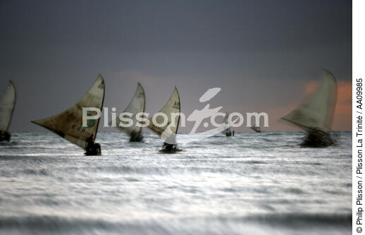 Jangadas en pêche. - © Philip Plisson / Plisson La Trinité / AA09985 - Nos reportages photos - Jangadas do Brazil