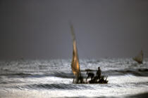 Jangada in fishing. © Philip Plisson / Plisson La Trinité / AA09986 - Photo Galleries - Jangadas from Brazil