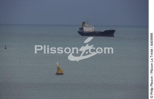 Jangada en mer. - © Philip Plisson / Plisson La Trinité / AA09999 - Nos reportages photos - Jangada