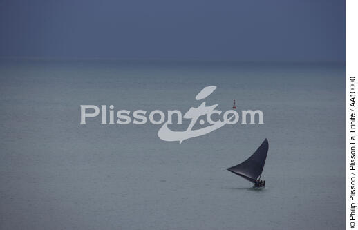 Jangada en mer. - © Philip Plisson / Plisson La Trinité / AA10000 - Nos reportages photos - Jangada