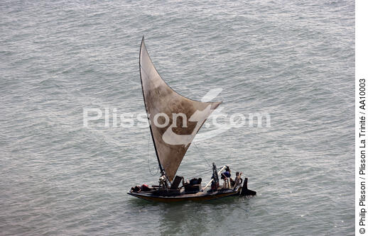 Jangada en mer. - © Philip Plisson / Plisson La Trinité / AA10003 - Nos reportages photos - Jangada