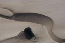 Plage brésilienne. © Philip Plisson / Plisson La Trinité / AA10080 - Nos reportages photos - Dune