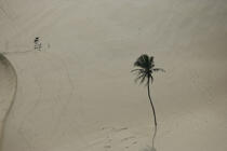 Dune de sable au Brésil. © Philip Plisson / Plisson La Trinité / AA10098 - Nos reportages photos - Ceara