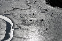 Reflet doré à marée basse. © Philip Plisson / Plisson La Trinité / AA10107 - Nos reportages photos - Mouillage