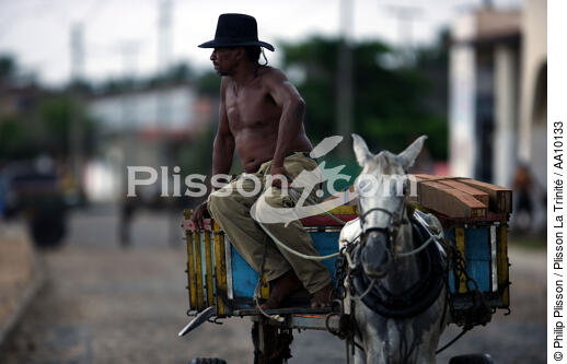 Dans les rues de Camocin. - © Philip Plisson / Plisson La Trinité / AA10133 - Nos reportages photos - Cheval