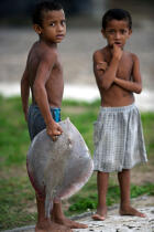 In the streets of Camocin. © Philip Plisson / Plisson La Trinité / AA10136 - Photo Galleries - Fish