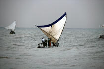 Pêche à bord des Jangadas. © Philip Plisson / Plisson La Trinité / AA10159 - Nos reportages photos - Jangada
