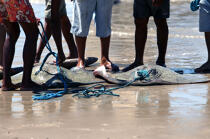 Retour de pêche. © Philip Plisson / Plisson La Trinité / AA10219 - Nos reportages photos - Métier