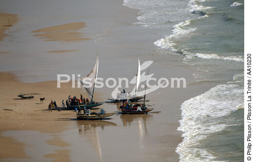 Jangadas sur une plage du Ceara. - © Philip Plisson / Plisson La Trinité / AA10230 - Nos reportages photos - Jangada