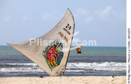 Voile d'une Jangada sur une plage du Ceara. - © Philip Plisson / Plisson La Trinité / AA10231 - Nos reportages photos - Brésil