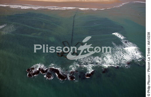 Pêcherie brésilienne. - © Philip Plisson / Plisson La Trinité / AA10238 - Nos reportages photos - Jangadas do Brazil