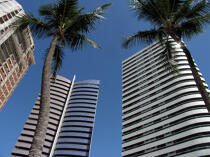 Buildings of Fortaleza. © Philip Plisson / Plisson La Trinité / AA10264 - Photo Galleries - Palm tree