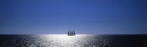 The Phocea. © Philip Plisson / Plisson La Trinité / AA10331 - Photo Galleries - Four masts