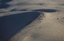 Promenade sur la Dune du Pilat. © Philip Plisson / Plisson La Trinité / AA10347 - Nos reportages photos - Sable