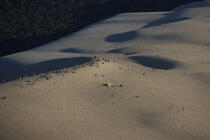 Promenade sur la Dune du Pilat. © Philip Plisson / Plisson La Trinité / AA10350 - Nos reportages photos - Sable