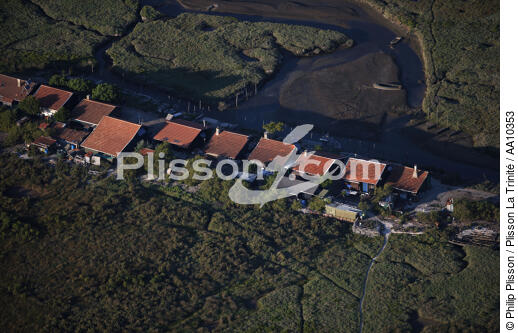 Houses on the basin of Arcachon. - © Philip Plisson / Plisson La Trinité / AA10353 - Photo Galleries - Low tide