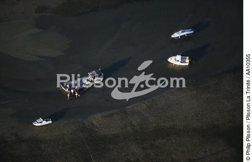 Mooring in the basin of Arcachon. - © Philip Plisson / Plisson La Trinité / AA10355 - Photo Galleries - Low tide
