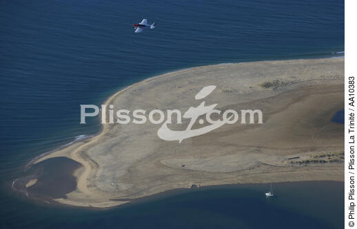 Avion en survol du Banc d'Arguin. - © Philip Plisson / Plisson La Trinité / AA10383 - Nos reportages photos - Avion