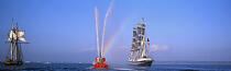 Gathering of Brest 1996. © Philip Plisson / Plisson La Trinité / AA10452 - Photo Galleries - Sea Rescue