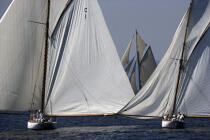 Avel and Mariquita - Classic Week 2005. © Philip Plisson / Plisson La Trinité / AA10495 - Photo Galleries - J Class yacht